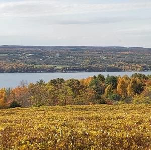 Meet your Posher, Dan